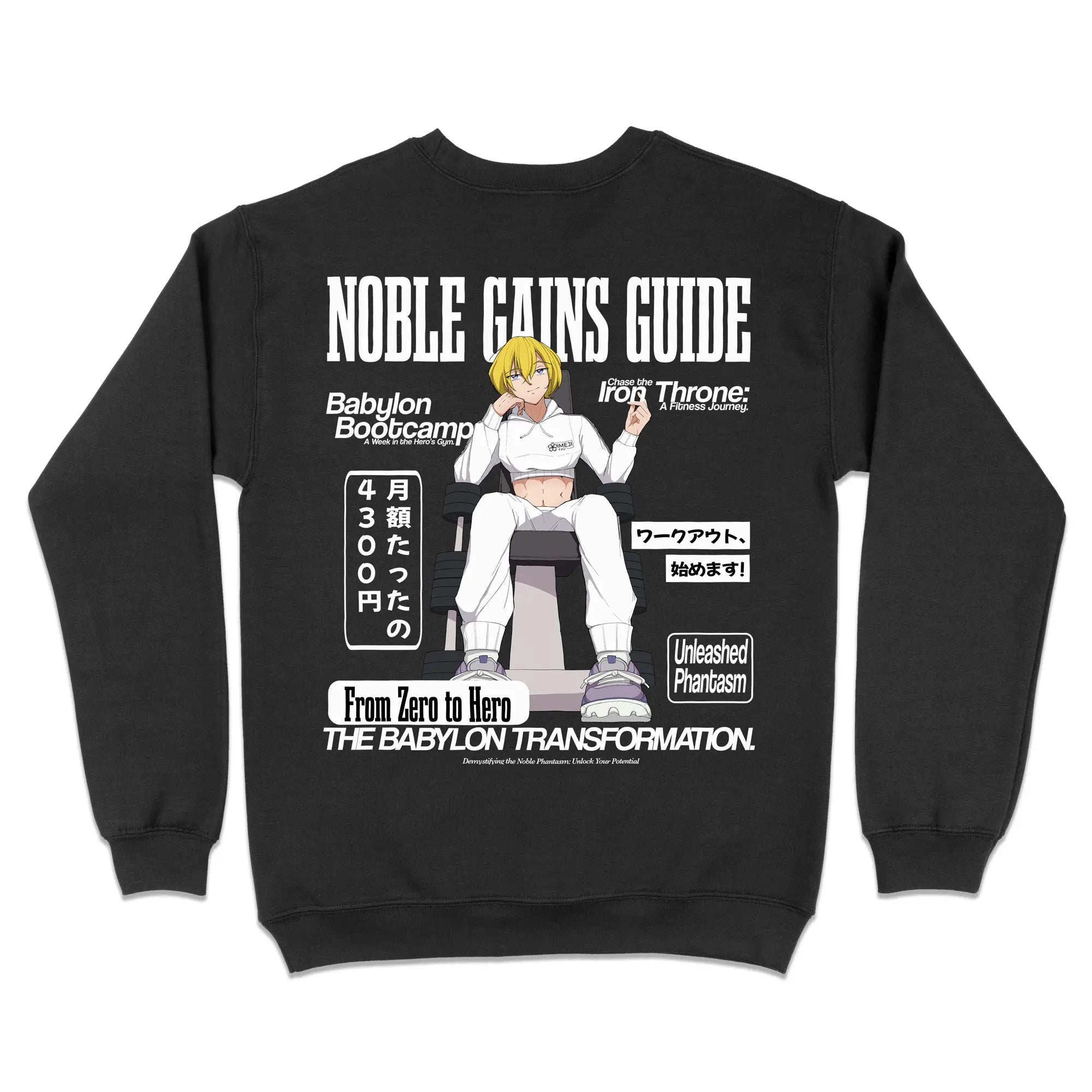 Gym of Babylon Noble Gains Guide Gen3 [Backprint] // Sweatshirt