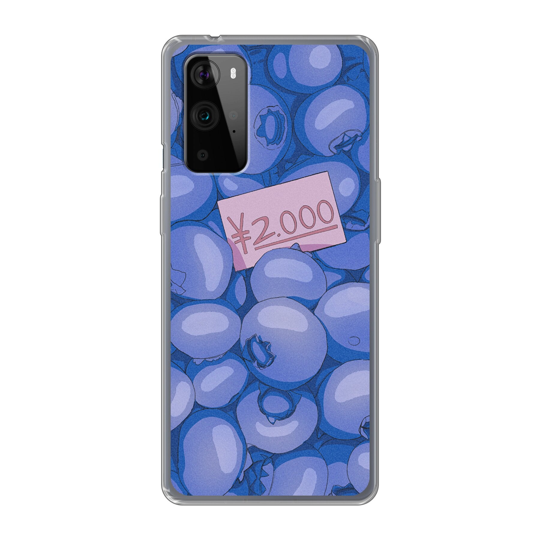 2000 Yen Blueberries // OnePlus Cave