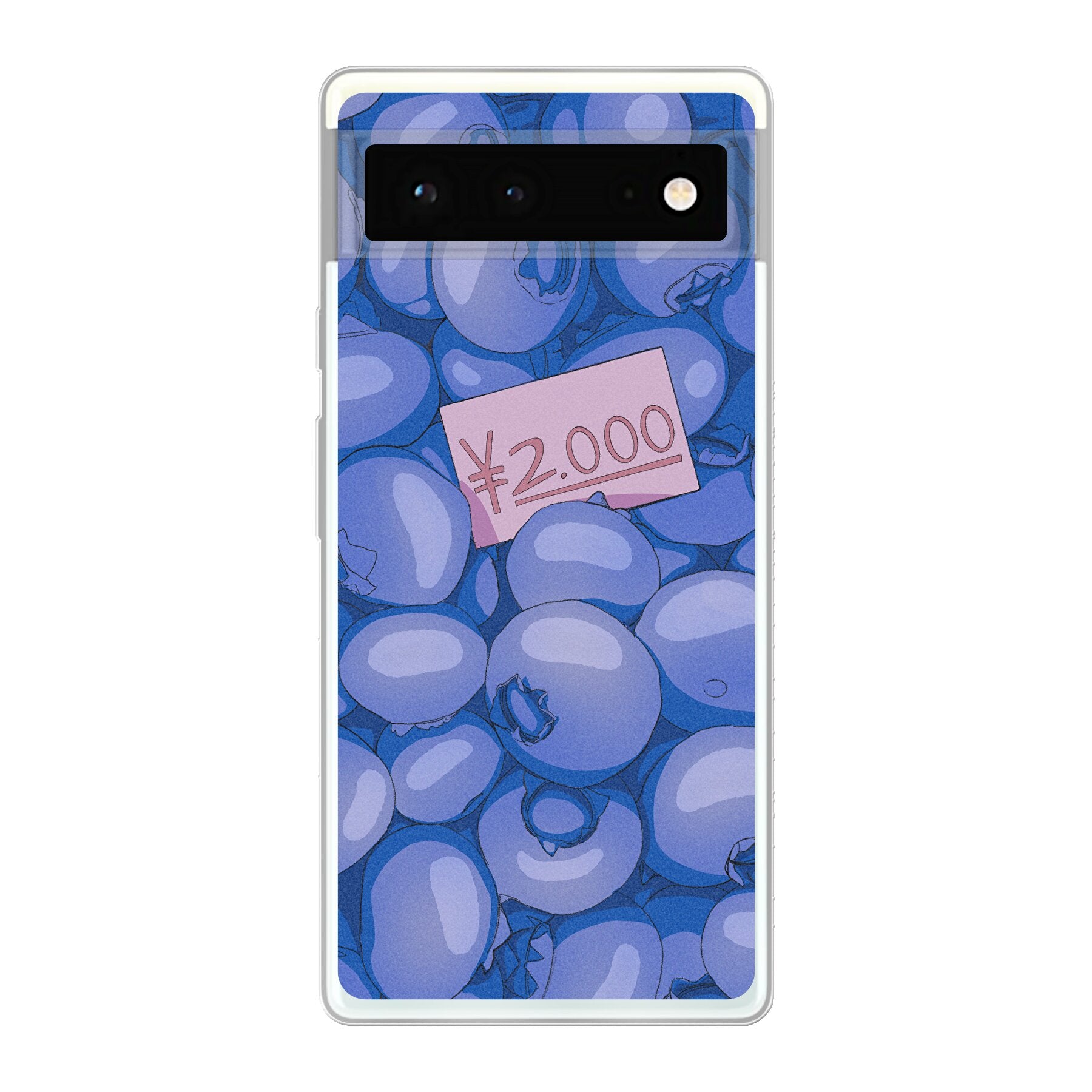 2000 Yen Blueberries // Google Case