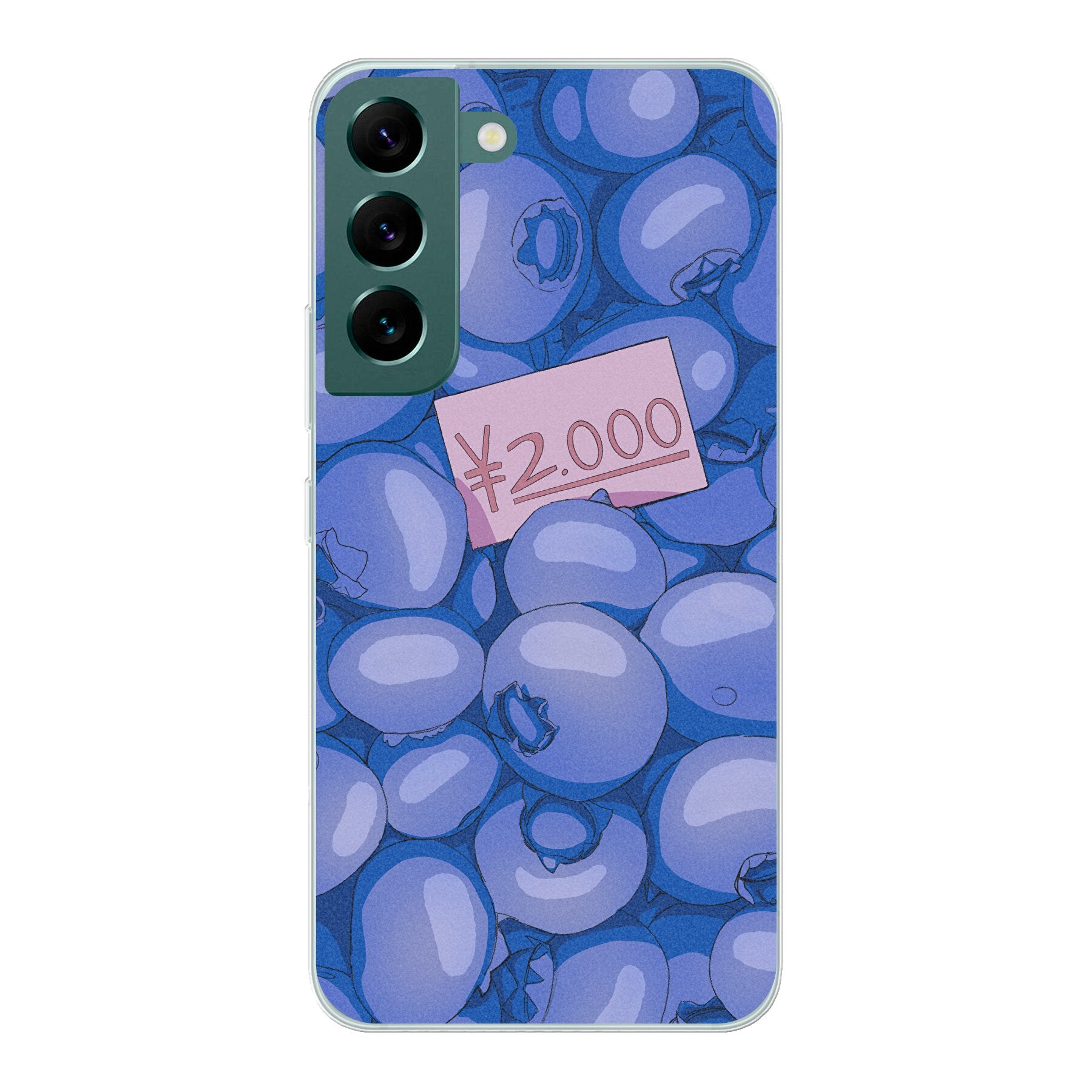 2000 Yen Blueberries // Samsung case